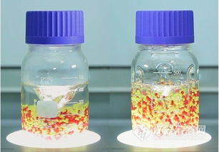 擾流板在玻璃酒瓶混勻過程中的重要作用